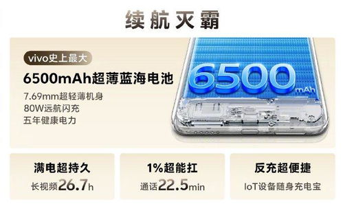 好看好用又耐用,一圖看懂vivo y300 pro的所有亮點