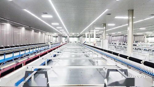 清河羊絨 時(shí)尚蝶變綻芳華