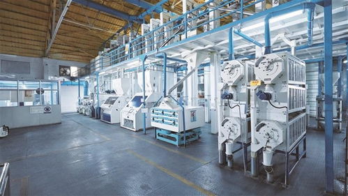 2023全球高端食品及優(yōu)質(zhì)農(nóng)產(chǎn)品 深圳 博覽會開幕 盛寶 盛妝 亮相 科技范兒 十足