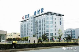 完善產(chǎn)業(yè)布局,硅寶科技擬收購?fù)乩萍?00 股權(quán)